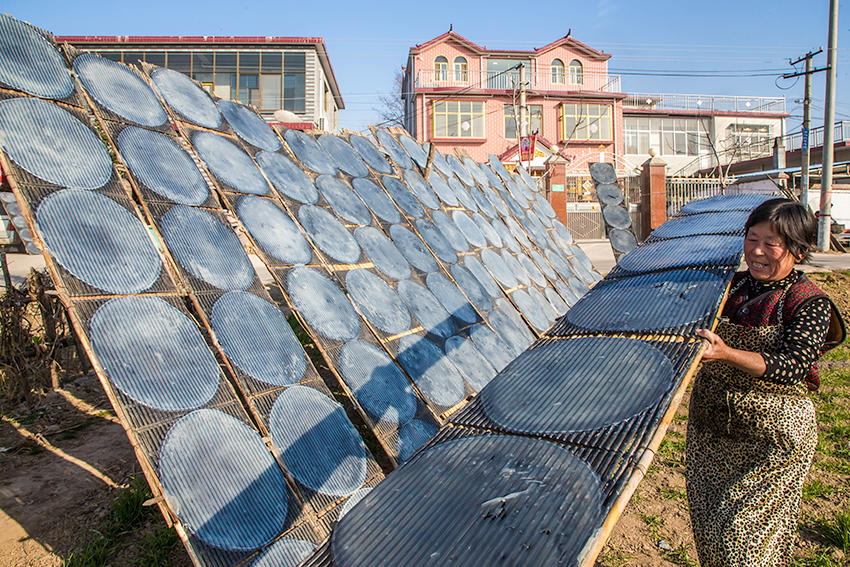 見過傳統(tǒng)技法做粉皮嗎？隨鏡頭走進(jìn)豫東農(nóng)村看看吧