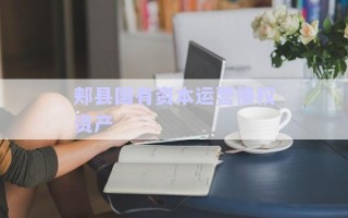 郟縣國(guó)有資本運(yùn)營(yíng)債權(quán)資產(chǎn) 郟縣國(guó)有資本運(yùn)營(yíng)債權(quán)資產(chǎn)