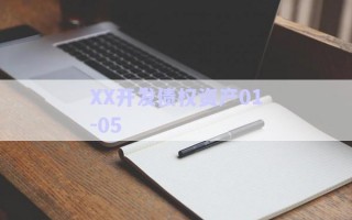 XX開(kāi)發(fā)債權(quán)資產(chǎn)01-05