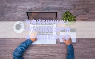 河南省SDWHJYJTYXGS債權(quán)資產(chǎn)拍賣(mài)一期政府債定融
