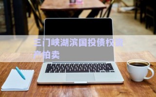 三門峽湖濱國(guó)投債權(quán)資產(chǎn)拍賣