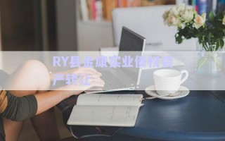 RY縣金康實業(yè)債權(quán)資產(chǎn)轉(zhuǎn)讓