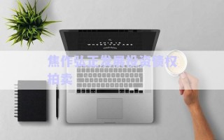 焦作弘正發(fā)展投資債權(quán)拍賣