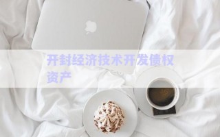 開(kāi)封經(jīng)濟(jì)技術(shù)開(kāi)發(fā)債權(quán)資產(chǎn) 開(kāi)封經(jīng)濟(jì)技術(shù)開(kāi)發(fā)債權(quán)資產(chǎn)