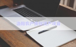 洛陽農(nóng)產(chǎn)債權(quán)資產(chǎn)項目