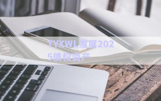 TYXWL發(fā)展2025債權資產(chǎn)