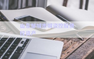 山東鄒城市城資控股債權資產(chǎn)