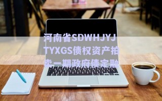 河南省SDWHJYJTYXGS債權(quán)資產(chǎn)拍賣(mài)一期政府債定融