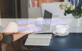 湯陰宏達(dá)投資債權(quán)資產(chǎn)政府債定融 湯陰宏達(dá)投資債權(quán)資產(chǎn)政府債定融