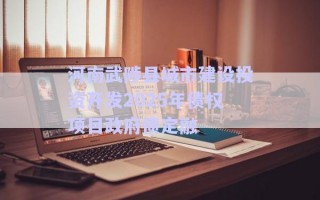 河南武陟縣城市建設投資開發(fā)2025年債權(quán)項目政府債定融