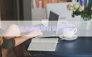 牟州數(shù)字債權資產(chǎn)轉讓 牟州數(shù)字債權資產(chǎn)轉讓