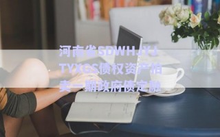 河南省SDWHJYJTYXGS債權(quán)資產(chǎn)拍賣(mài)一期政府債定融