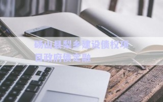 碭山縣梨鄉(xiāng)建設債權(quán)項目政府債定融