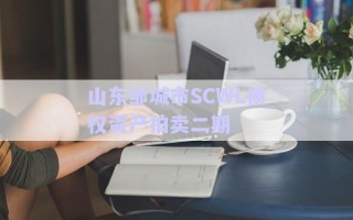 山東鄒城市SCWL債權(quán)資產(chǎn)拍賣(mài)二期