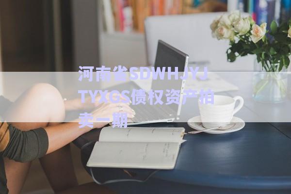 河南省SDWHJYJTYXGS債權(quán)資產(chǎn)拍賣(mài)一期-第1張圖片-政信固收網(wǎng)